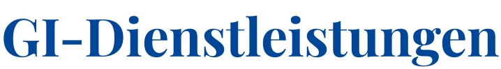 GI-Dienstleistungen